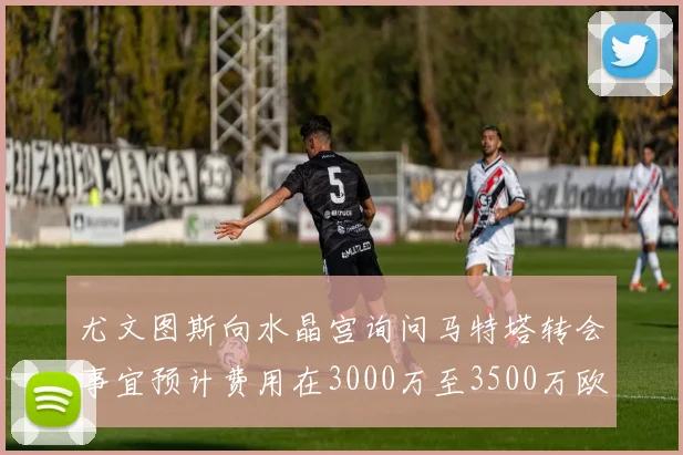 尤文图斯向水晶宫询问马特塔转会事宜预计费用在3000万至3500万欧元之间