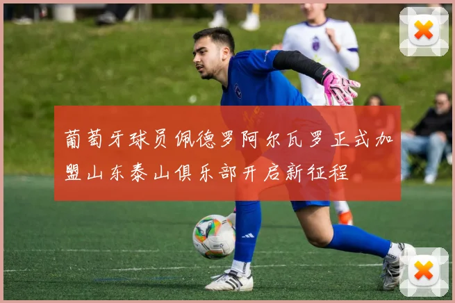 葡萄牙球员佩德罗阿尔瓦罗正式加盟山东泰山俱乐部开启新征程