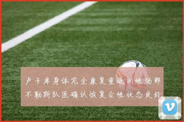 卢卡库身体完全康复重返训练场那不勒斯队医确认恢复合练状态良好
